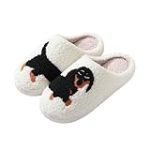 Análisis y comparativa de las mejores zapatillas para perros salchicha: ¡Protege sus patitas con estilo! Análisis y comparativa de las mejores zapatillas para perros salchicha: ¡Protege sus patitas con estilo!