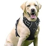 Análisis y comparativa de los mejores arneses anti tirones para perros: ¡Control total en los paseos!