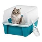 ¿Tu gato se mea fuera del arenero? Descubre los mejores productos para solucionarlo
