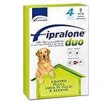 Análisis y comparativa: ¿Por qué Vectra 3D es la mejor opción para perros de 25 a 40 kg?