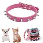Todas las claves para la primera vacuna de tu cachorro: Análisis y comparativa de los mejores productos para su protección