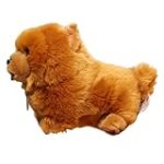 Chow Chow Cáceres: Análisis y comparativa de productos ideales para tu mascota