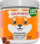 ¿Cuántas respiraciones por minuto debe tener tu perro mientras duerme? Análisis y comparativa de los mejores productos para mejorar su descanso ¿Cuántas respiraciones por minuto debe tener tu perro mientras duerme? Análisis y comparativa de los mejores productos para mejorar su descanso