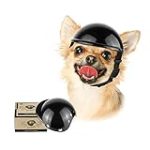 Análisis y comparativa: Los mejores cascos para perros pequeños en el mercado Análisis y comparativa: Los mejores cascos para perros pequeños en el mercado