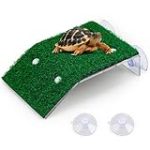 Guía de compra: Tortugas de tierra como mascotas - Análisis y comparativa de los mejores productos para su cuidado Guía de compra: Tortugas de tierra como mascotas - Análisis y comparativa de los mejores productos para su cuidado