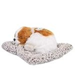 Análisis de los mejores productos para mejorar la respiración de tu perro cuando parece que ronca Análisis de los mejores productos para mejorar la respiración de tu perro cuando parece que ronca
