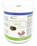 Top 5 productos con alga ascophyllum para el cuidado de mascotas: Análisis y comparativa